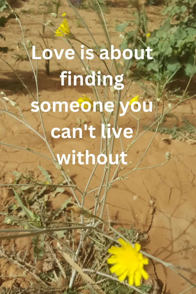 Love is about finding someone you can't live without